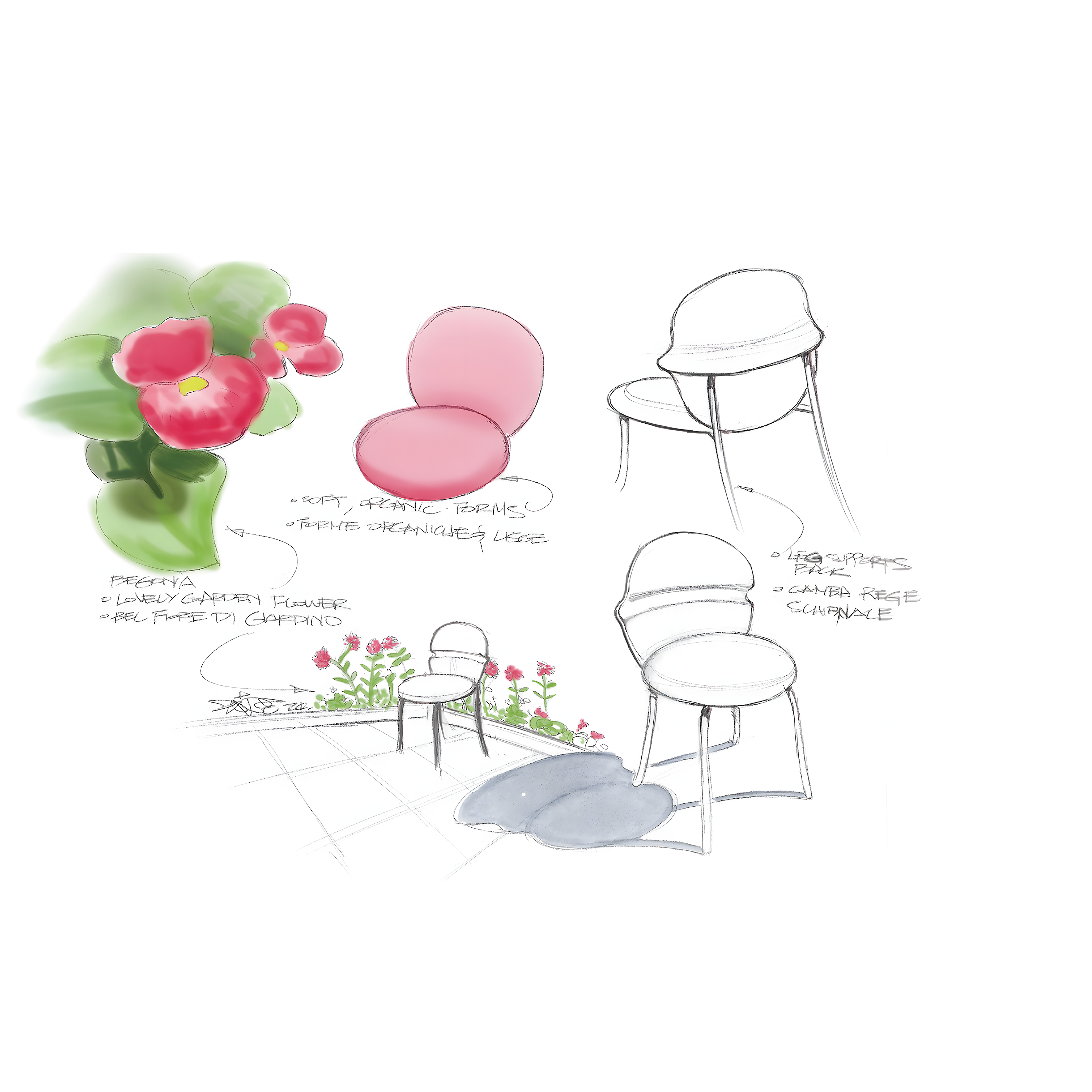 Chaise Begonia